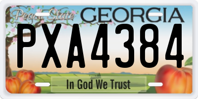 GA license plate PXA4384
