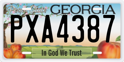 GA license plate PXA4387