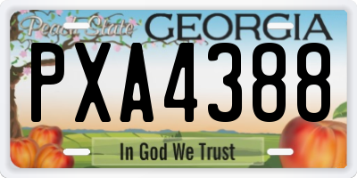 GA license plate PXA4388