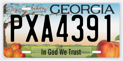 GA license plate PXA4391