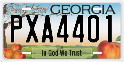 GA license plate PXA4401