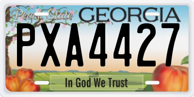 GA license plate PXA4427