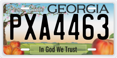 GA license plate PXA4463