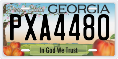 GA license plate PXA4480