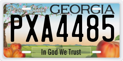 GA license plate PXA4485