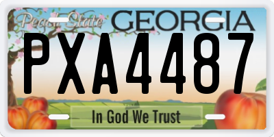 GA license plate PXA4487