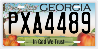 GA license plate PXA4489