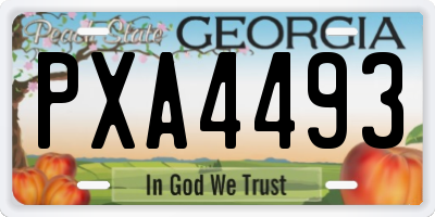 GA license plate PXA4493