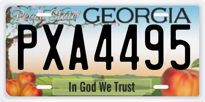 GA license plate PXA4495