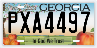 GA license plate PXA4497