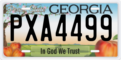 GA license plate PXA4499