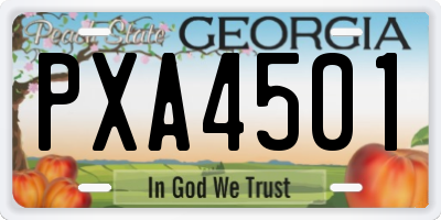 GA license plate PXA4501