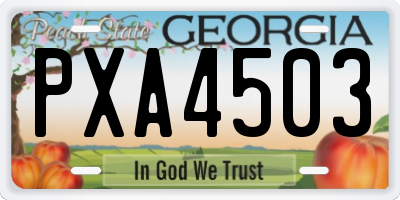 GA license plate PXA4503
