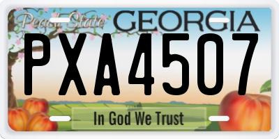 GA license plate PXA4507
