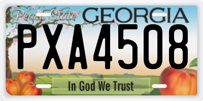 GA license plate PXA4508