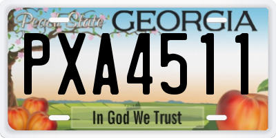 GA license plate PXA4511
