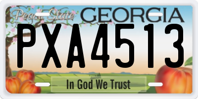GA license plate PXA4513