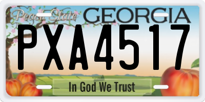 GA license plate PXA4517