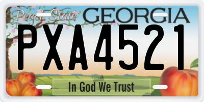 GA license plate PXA4521