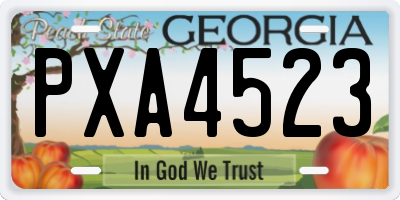 GA license plate PXA4523