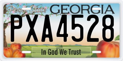 GA license plate PXA4528
