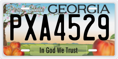 GA license plate PXA4529
