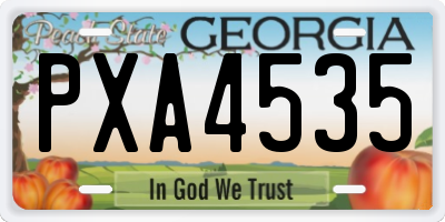 GA license plate PXA4535