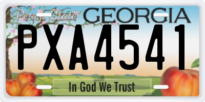 GA license plate PXA4541