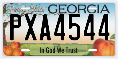GA license plate PXA4544