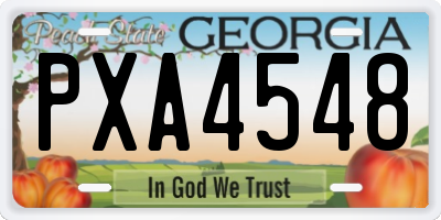 GA license plate PXA4548
