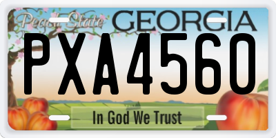 GA license plate PXA4560
