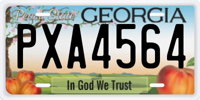 GA license plate PXA4564