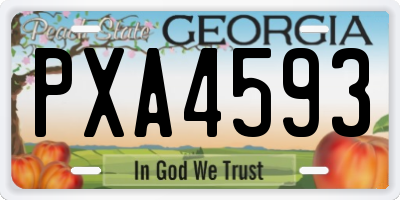 GA license plate PXA4593