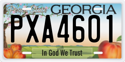 GA license plate PXA4601