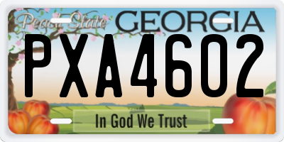 GA license plate PXA4602
