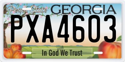 GA license plate PXA4603