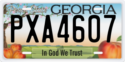 GA license plate PXA4607