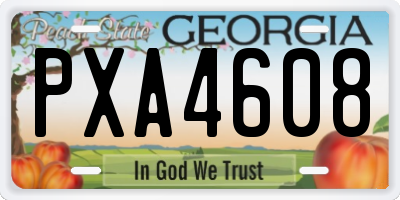 GA license plate PXA4608