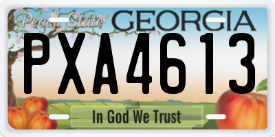 GA license plate PXA4613