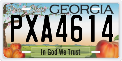 GA license plate PXA4614