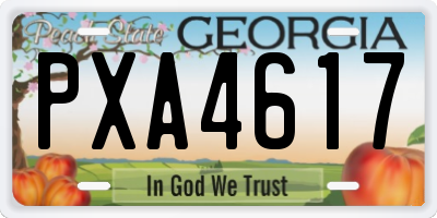 GA license plate PXA4617