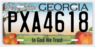 GA license plate PXA4618