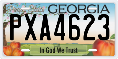 GA license plate PXA4623