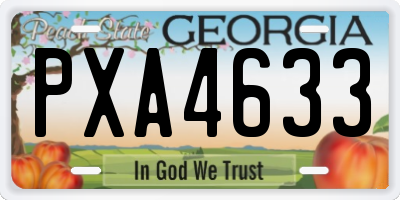GA license plate PXA4633