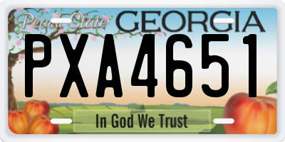 GA license plate PXA4651