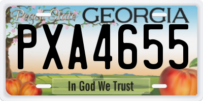 GA license plate PXA4655