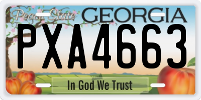 GA license plate PXA4663