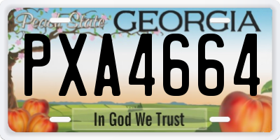 GA license plate PXA4664