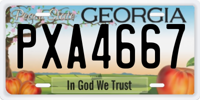 GA license plate PXA4667