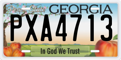 GA license plate PXA4713